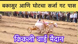 बकासूर आणि घोटचा सर्जा गट पास किकली वाई मैदान । bakasur gat pass kikali maidan बकासुर bakasur [upl. by Copeland]