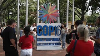 Biodiversité  les peuples autochtones prennent la parole à la COP16 en Colombie [upl. by Ahsyek]