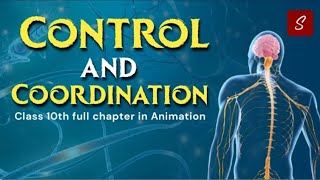 Control and Coordination Class 10 Full Chapter Animation  Class 10 Science Chapter 7  CBSE [upl. by Adlihtam501]