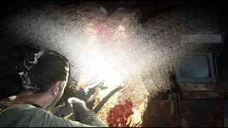 Arcade Bloater with Manny  Grounded difficulty amp No damage noreturn thelastofuspart2 boss [upl. by Demp]