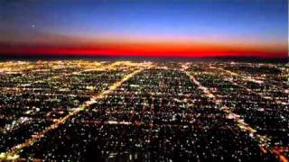 Night Landing in Los Angeles cockpit view [upl. by Anirrehs347]