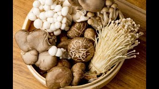 Why This Japanese Mushrooms beech mushrooms are Good for Your Health Mushrooms for Good Health [upl. by Tatianas]