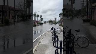 Hurricane Milton aftermath In Saint Augustine Florida hurricane saintaugustine [upl. by Vi375]