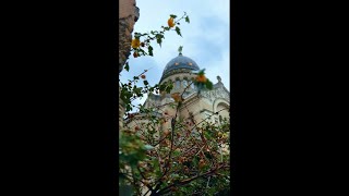 Discover the Majesty of La Basilique SaintMartin de Tours tours [upl. by Eenat705]