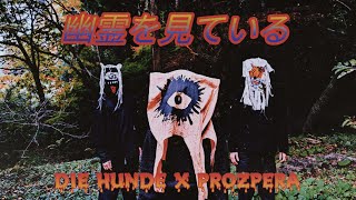 looking  ghosts 幽霊を見ている   die hunde x prozpera tobichi art  tatsuno japan [upl. by Ziagos]