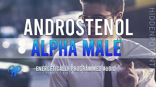 Ultimate ALPHA MALE Aura  Androstenol and Androsterone Energetically Programmed Audio [upl. by Alyahs]