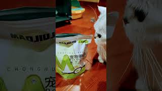 Cat food review cat viralvideo shortsviral [upl. by Alderman]