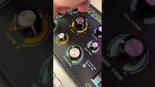 🔥Making TECHNO Sequences with the DREADBOX TYPHON🔥 [upl. by Eidak]