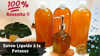 Savon Liquide à la Potasse ↑↑ Méthode Rapide 100 Réussie ↑↑ Saponification à Chaud ↑↑ [upl. by Arvy115]