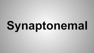 How To Pronounce Synaptonemal [upl. by Venice]