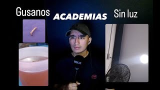 Denuncias ACADEMIAS para SAN MARCOS admisionsanmarcos examendeadmision sanmarcos [upl. by Aiuqet51]