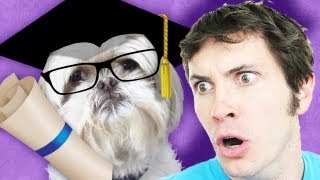 MY DOG WENT TO COLLEGE [upl. by Kraska]