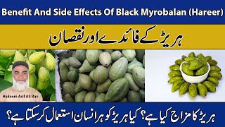 Benefit And Side Effects Of Black Myrobalan Hareer  Hareer Ke Fayde Aur Nuqsaan [upl. by Kristin]