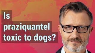 Is praziquantel toxic to dogs [upl. by Ahselef682]