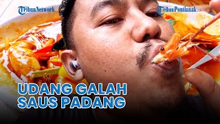 ®️🔴 Cobain Kuliner Udang Galah Saus Padang [upl. by Eusebio]