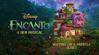 Waiting On A Miracle Live Encanto A New Musical [upl. by Odawa]