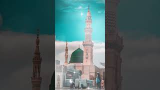 Chaman Chaman Ki Dilkashi  Nabi Nabi  Qari Rizwan Khan Beautiful Naat  Naat Collections [upl. by Hcaz]