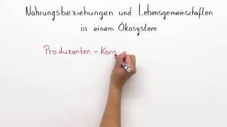 NAHRUNGSBEZIEHUNGEN IM ÖKOSYSTEM  Biologie  Ökologie [upl. by Atal853]