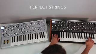 Moog Subsequent 37 vs Sub 37 Comparison Part I [upl. by Trebliw]