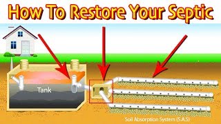 Restoring A Septic Drain Field First Steps Least Vs Most Expensive [upl. by Ecadnac794]