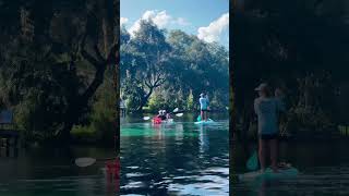 Want some family friendly plans for this Thanksgiving A kayaking adventure along the Rainbow River [upl. by Eadahc]