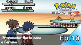 ¡Combatimos junto a Matís POKEMON BLANCO 2 Cutrigameplay sin comentarios [upl. by Adla618]