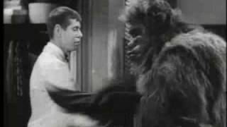 Bela Lugosi Meets a Brooklyn Gorilla trailer [upl. by Eisnil872]