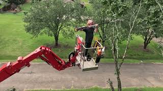 Giant maple tree removal with a CMC 92hd spider lift [upl. by Yonatan741]