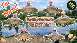 261 Linear Fisheries Oxlease Lake [upl. by Athalee341]