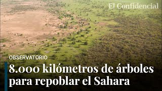 La Gran Muralla Verde del Sahel 8000 kms de árboles para frenar el cambio climático en África [upl. by Lednyc747]