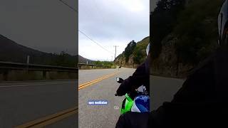 oh deer  motorcycle nature insta360 bikelife kawasakizx4rr [upl. by Anitsej]