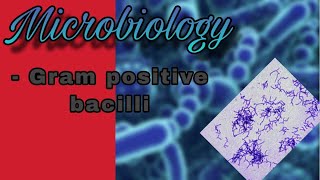 Microbiology  gram positive bacilli [upl. by Holmen]