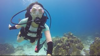 Cancun Scuba Diving Adventures [upl. by Akkin816]