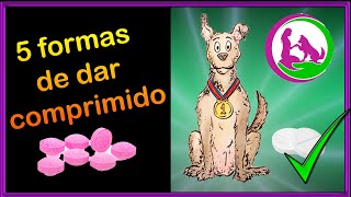 Como dar remédio comprimido para seu cachorro [upl. by Florine]