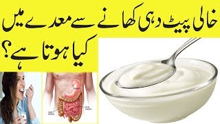 Dahi Khali Pait khany Se Maday Main Kia Hota Hai  Yogurt Eating Benefits [upl. by Wendolyn]