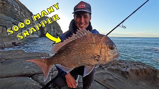 Landbased Snapper fishing [upl. by Limber]