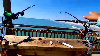 Pompano and Whiting Action  Springmaid Pier Livestream Highlights [upl. by Casie846]