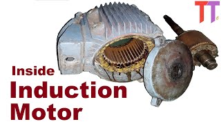 Inside 3 Phase Induction Motor Its rotor stator Copper Coils Watch at 15x for better experience [upl. by Anhavas]