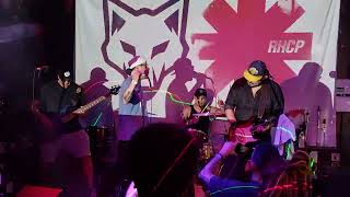 161124  Cover Fest  Banda Coyotes Califórnia  Red Hot Chilli Peppers cover  ICBR [upl. by Gorman]