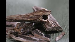 Health Benefits of Agarwood [upl. by Acinorehs]