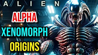 Alpha Xenomorph Origin  Most Powerful Rank In Xenomorph Race They Lead And Even Topple The Queen [upl. by Eimak]