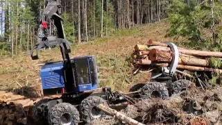 TimberPro TF840C Clambunk  The Ultimate Skidder [upl. by Janina]