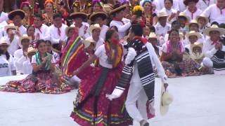 Jarabe Mixteco Guelaguetza [upl. by Lenrow]