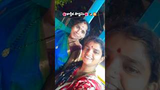 కార్తీక పౌర్ణమి🌺🙏🌺3sisterssillyvlogs904 entertainment youtubeshorts pournamipooja viralvideos [upl. by Lindgren965]