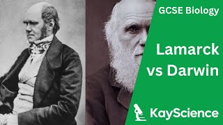 Lamarck vs Darwin  Biology GCSE  kaysciencecom [upl. by Minetta169]