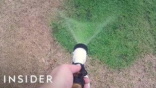 How To Make Your Lawn Green With Paint [upl. by Irved]