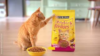 Friskies  Refeições divertidas em cada pacote [upl. by Svetlana]