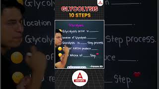 Glycolysis Explained  The Energy Powerhouse of Cells shorts glycolysis cellenergy glucose ATP [upl. by Elwin]