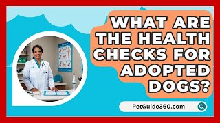 What Are the Health Checks for Adopted Dogs  PetGuide360com [upl. by Eidua732]