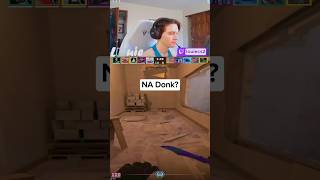 CounterStrike 2 NA Donk [upl. by Piers]